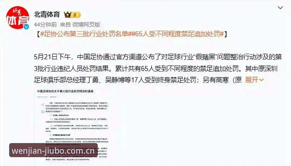 中国足协第三批禁足名单详解：65人受罚背后的行业反思
